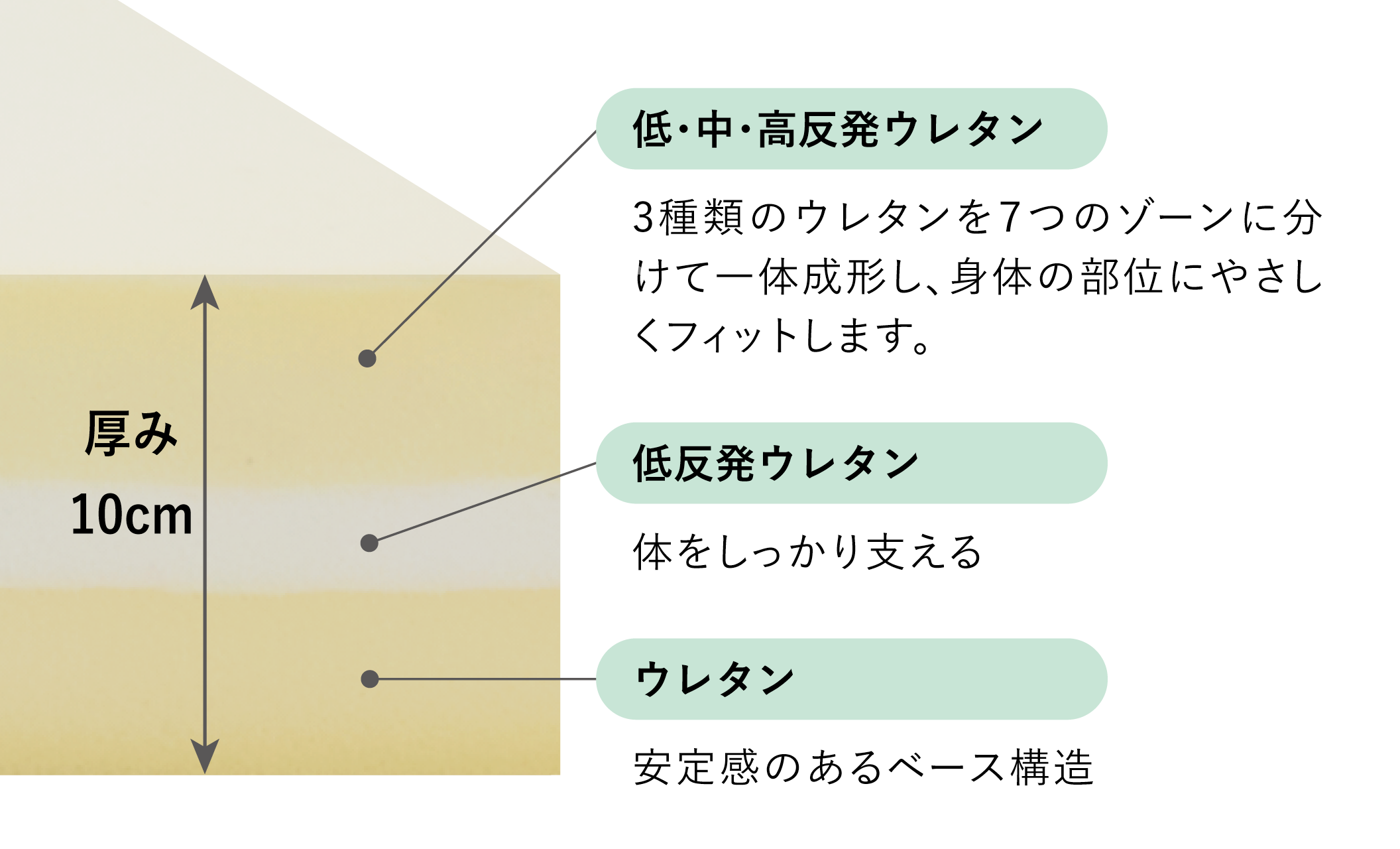 異なる硬さの３層構造