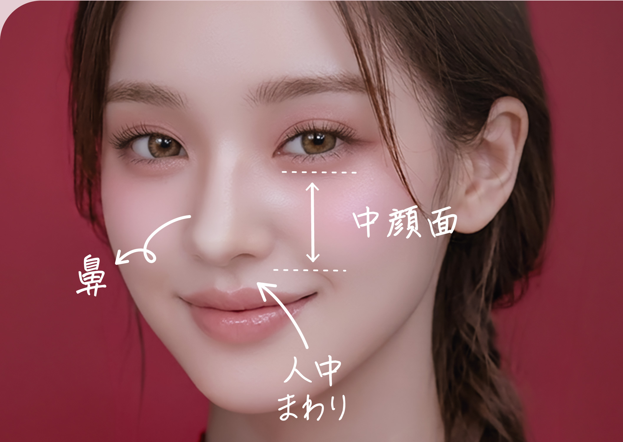 中顔面は目の下から唇上辺りの領域を指します
