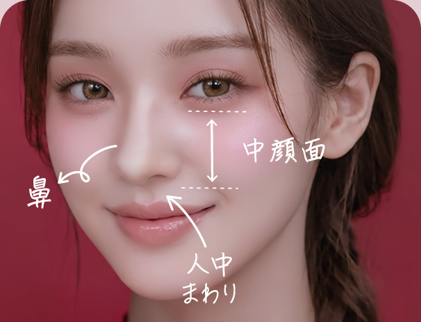 中顔面は目の下から唇上辺りの領域を指します