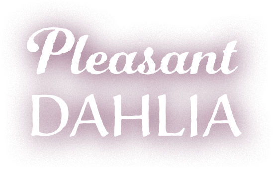 Pleasant DAHLIA