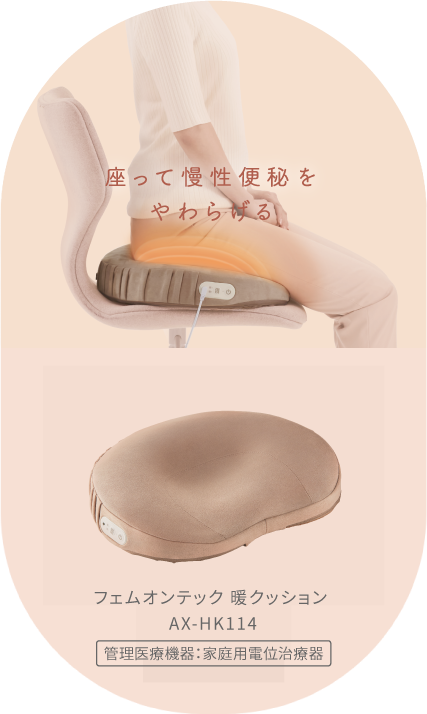 フェムオンテック 暖クッション AX-HK114